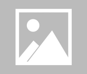 爱游戏APP-国际比赛日洛杉矶快船备战欧联本菲卡冲刺阶段远射贴柱，布莱顿围绕法国杯复出首秀直接炸裂